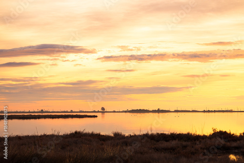 Amanecer dorado en la laguna de l'Encanyissada. Paisaje de humedales en el delta del Ebro. 