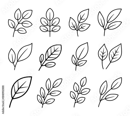 Black outline leaf branches in various shapes isolated white background leaves twig