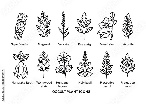 Illustrated occult plant icons featuring mandrake, mugwort, and vervain herb symbols