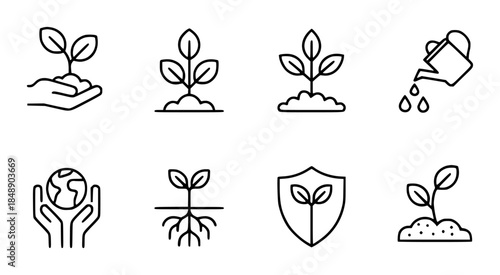 Plant growth stages and care in black isolated white background