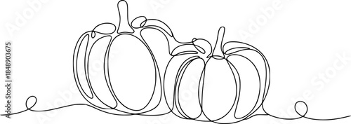 Pumpkins outline with stems a white background autumn fall