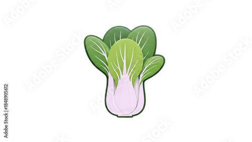 Bok Choy Illustration on White Background