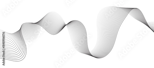 Abstract vector background with gray wavy lines. Abstract gray line wave background. 