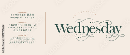 Luxury wedding alphabet logo font with tails. Typography elegant classic serif fonts and number decorative vintage retro logos branding. vector illustration