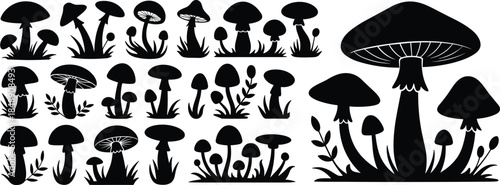 Mushroom silhouette vector, fungi illustration set, black botanical design, forest nature icons, wild edible shapes, spore-bearing plant concept