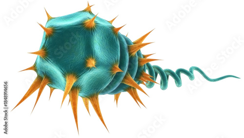 Fotografie Isolated marine plankton with spines and tail, organism of the sea for biology c