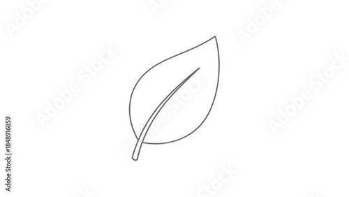 Nature's Serene Stroke: A solitary leaf in a line art form showcases the elegant simplicity of the natural world, representing growth, purity and environmental consciousness.