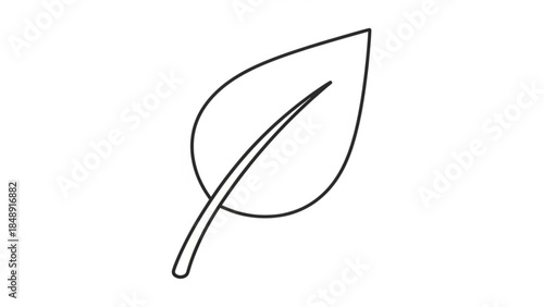 Leaf Silhouette: A minimalist monochrome depiction of a single leaf, its elegant form outlined against a clear, pure background, emphasizing simplicity and natural beauty.