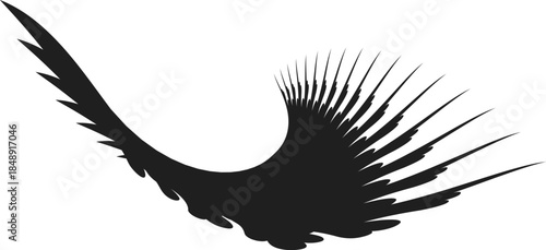 Black Eagle Wing Silhouette in Flight