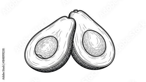 A detailed, hand-drawn black and white sketch of an avocado cut in half, showcasing the seed and texture in a classic vintage engraving style.