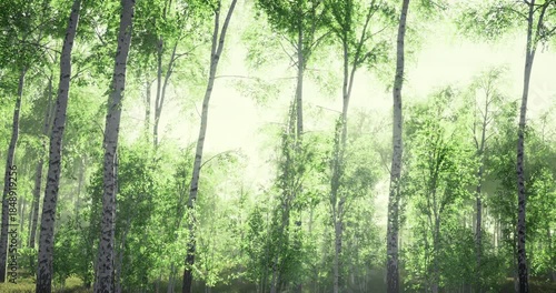 Bright sunlight illuminates a tranquil forest filled with vibrant green trees. Birds chirp softly as leaves sway gently, creating a peaceful and refreshing escape into nature.