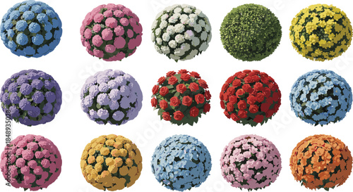 Colorful flowering bush spheres collection, ornamental garden plants and blooming shrubs in various colors, decorative floral balls vector illustration isolated on white