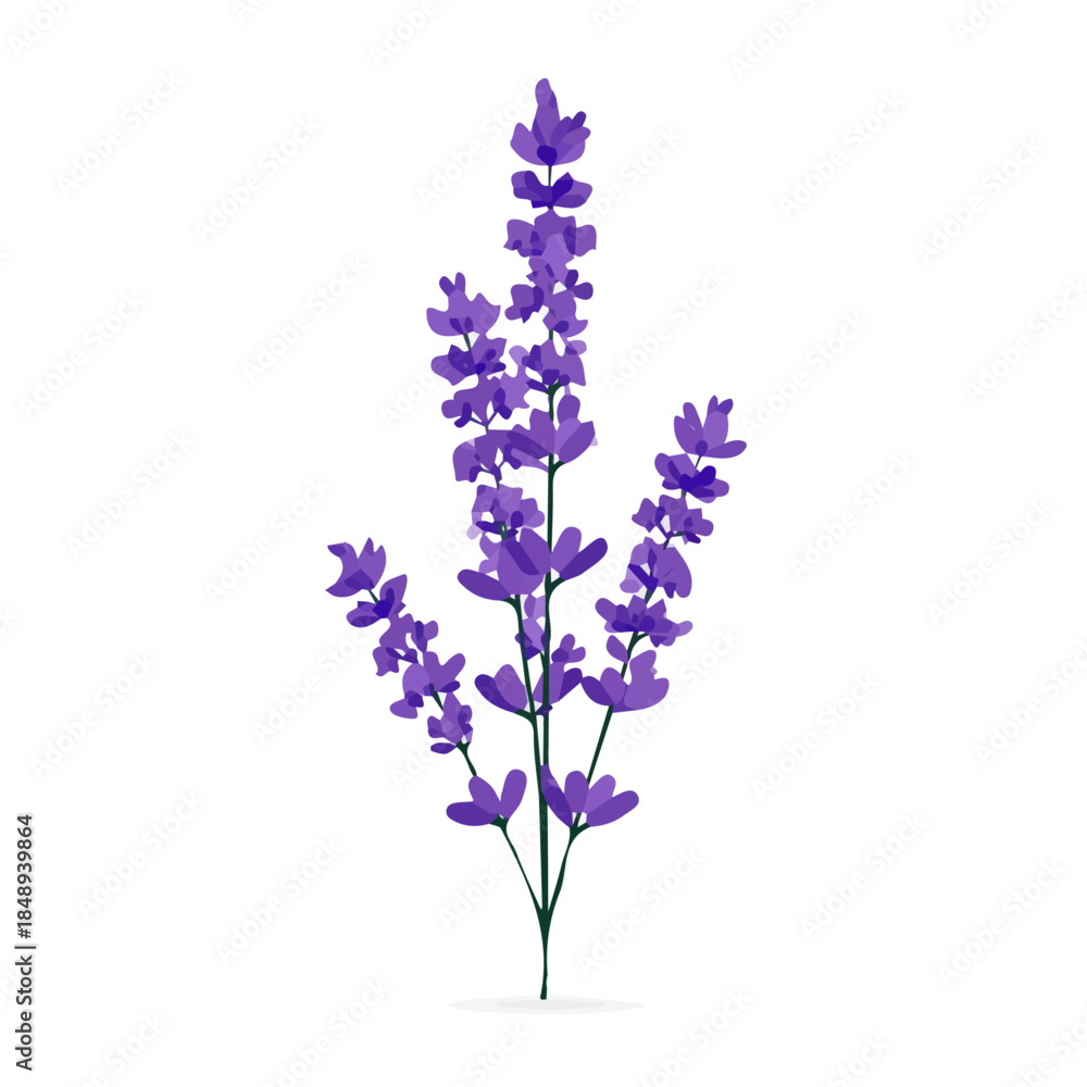Obraz premium 2D_icon_lavender_sprig_isolated_on_a_white_Vector, eps, flat design, animation design, simple flat 2D icon, minimalist design, clipart, illustration. 
