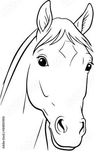 Curious Inquisitive Horse Head Vector Illustration for Educational Design