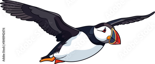 Cute Cartoon Atlantic Puffin Bird in Flight Illustration Isolated on White Background