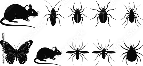 Animal and Insect Silhouette Vector Set Featuring Mouse, Butterfly, Beetles, Spiders, and Flying Bugs in Black Minimal Style for Nature, Biology, and Pest Design Projects