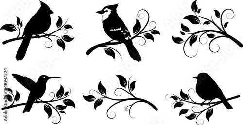 A collection of Flowers and birds silhouettes Birds and twigs