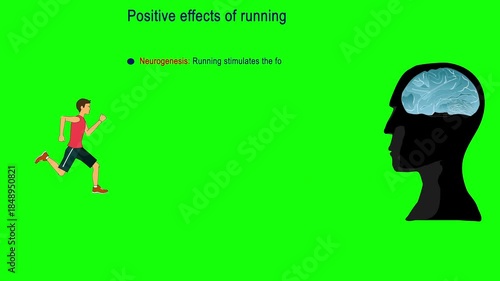 Running Human Facing Brain Animation – How Exercise Affects the Brain, green screen