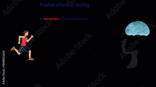 Running Human Facing Brain Animation – How Exercise Affects the Brain, Alpha Channel