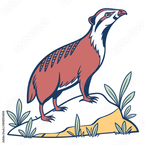 A mammal animel vector post