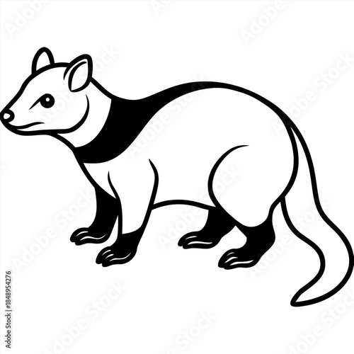 A mammal animel vector post