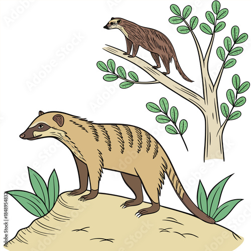 A mammal animel vector post