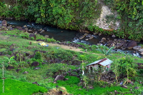 garden tools on the ground
