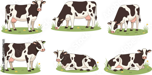 Cute cartoon cow vector illustration set, black and white dairy cattle grazing and lying on green grass for farm agriculture design elements.