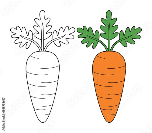 Carrots with green tops in outline and colored vegetable food