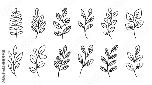 Hand drawn black leafy branch twigs set leaves branches