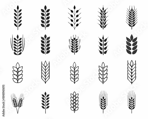 Collection of various wheat and grain stalk silhouettes on a white background