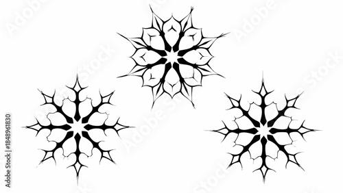 Intricate black and white snowflake designs arranged on a plain white background