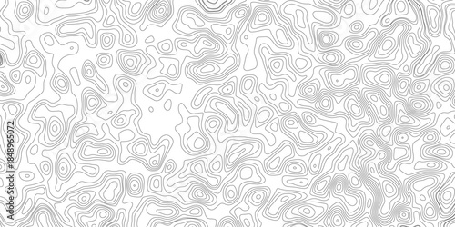 Topographic map background geographic line map with elevation assignments. Modern design with White background with topographic wavy pattern design.paper texture Imitation of a geographical map shades
