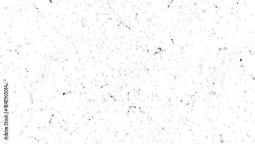 大量の泡、粒子が湧き上がる：背景透過