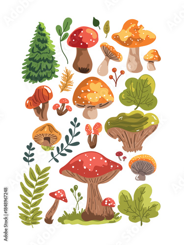 adorable woodland mushrooms with branches collection