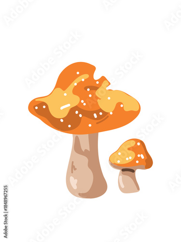 realistic forest mushroom vector illustration