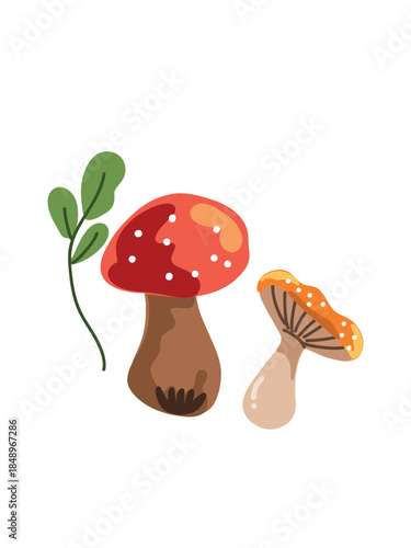 detailed woodland mushroom illustration on white