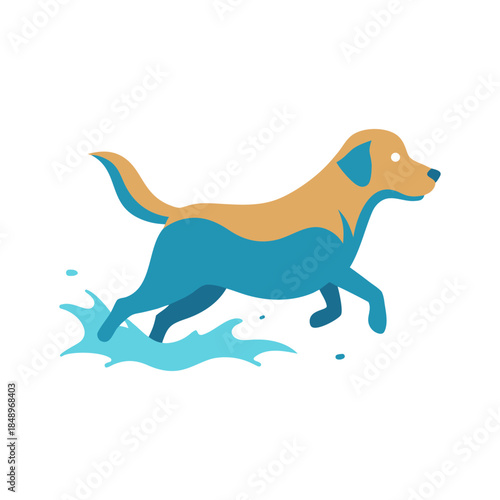 Labrador Retriever Swimming In Water Splash Minimal And Simple Colorful Vector White Background Only