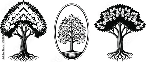 Decorative tree silhouette collection with detailed roots and ornamental leaves flat vector illustration isolated on white background for nature and eco design
