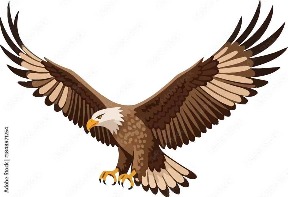 Obraz premium Adobe Illustrator Artwork