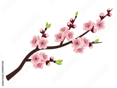 Cherry Blossom Branch Illustration Delicate Pink Flowers on a Brown Branch, Springtime Beauty