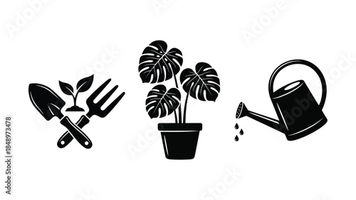 Gardening Tools and Monstera Plant on White Background