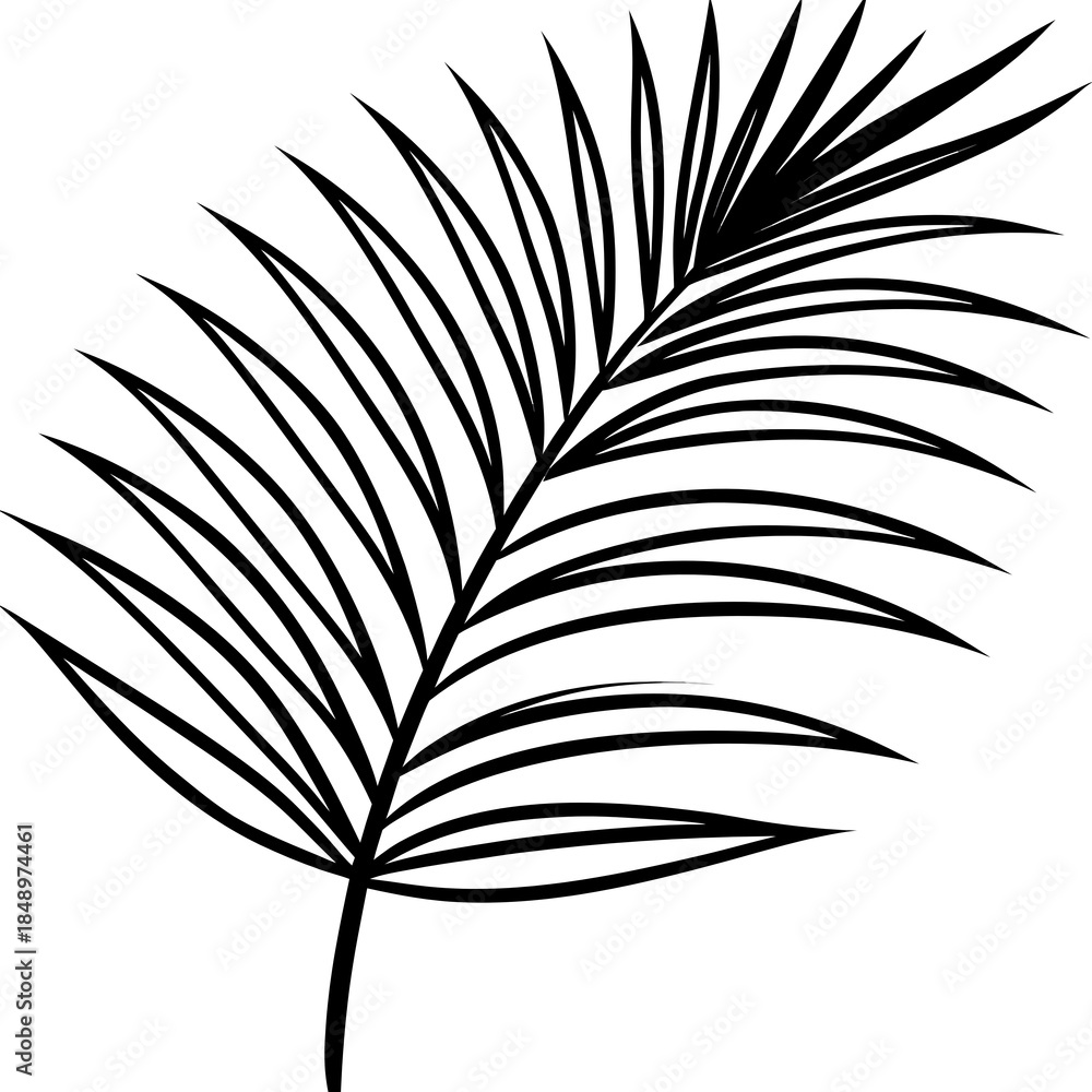 Fototapeta premium leaves
