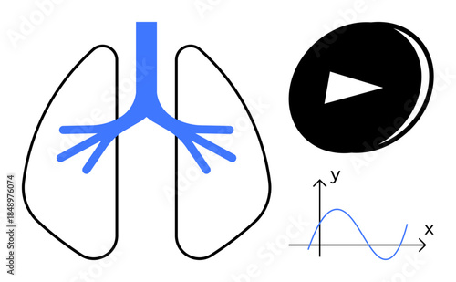 Science, education, medical studies, technology, analytics, data interpretation. A pair of lungs, a data graph with axes and an arrow icon in abstract design. Medical studies and education concept