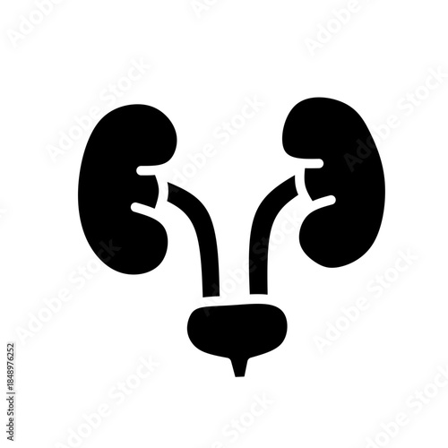 Human Kidney Icon Black Solid Medical Anatomy Vector SVG