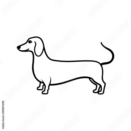 Dachshund Long Body Standing Side Pose Line Art Minimal And Simple White Background Only