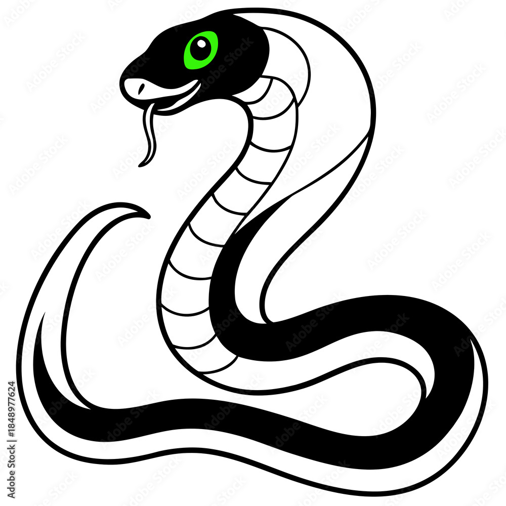 Fototapeta premium snake vector illustration