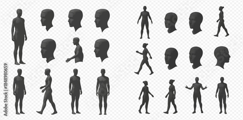 Set of diverse human body and head silhouettes in various poses and angles, isolated on transparent background for design mockups and anatomical studies.