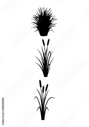 Grass & reed silhouettes set, reed grass set vector, Creative black & grass vector art