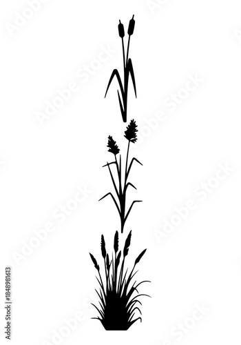 Grass & reed silhouettes set, reed grass set vector, Creative black & grass vector art
